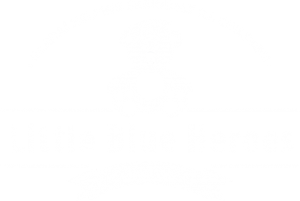 Little Blue Hero Logo